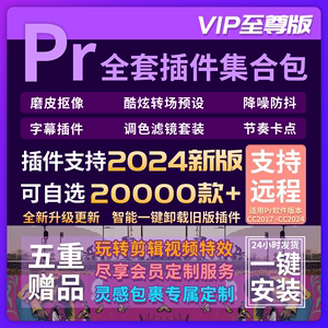 至尊VIP版Pr插件合集全套2024中文汉化一键安装转场磨皮调色抠像