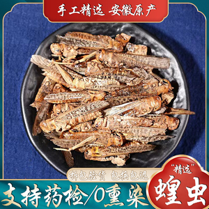 蝗虫中药材正品精选500g散装野生蚂蚱干草蜢蚱蜢蝗虫粉泡酒料包邮