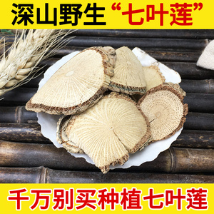 深山野生中药材七叶莲500g 汉桃叶 七叶藤 七加皮 龙爪叶 多蕊木