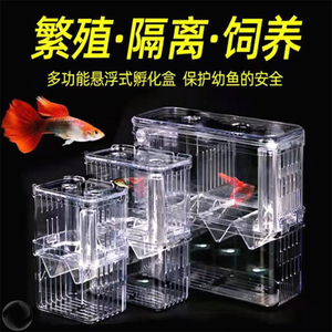 鱼缸隔离盒孔雀鱼繁殖盒神器小鱼苗孵化母鱼亚克力幼鱼凤尾产子箱