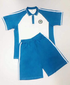 东莞市大岭山镇新风中学夏秋冬季纯棉校服