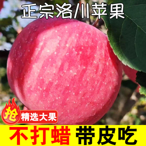 正宗陕西洛川苹果水果新鲜当季整箱一级红富士脆甜5斤冰糖心包邮