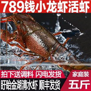 789钱五斤鲜活 小龙虾特大龙虾活虾淡水清水虾海鲜生鲜水产免洗虾