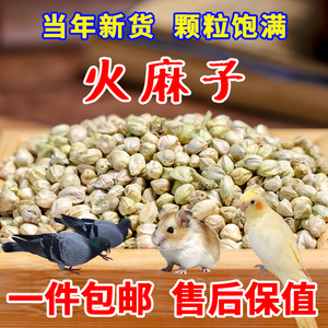 纸壳麻子鸟粮鹦鹉饲料油麻子籽生牡丹小颗粒纸皮麻子鸟食火麻仁