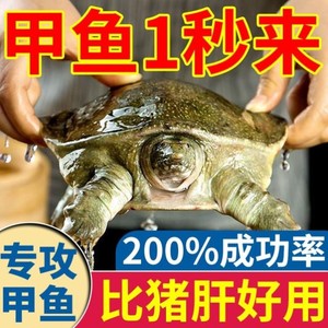 甲鱼小药饵料诱饵诱聚剂野钓甲鱼钩钓老鳖专用诱食剂水鱼窝料药水