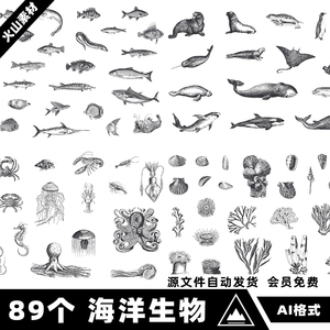 手绘复古黑白素描海洋生物动物鱼类贝壳插画图案矢量AI设计素材图