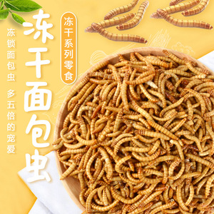 仓鼠零食 冻干面包虫干营养金丝熊粮食黄粉虫干豚鼠零食刺猬用品