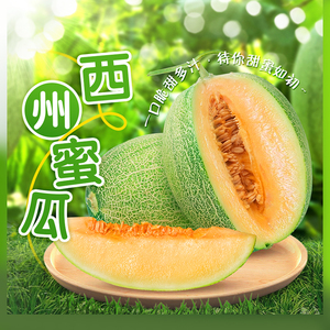 东方甄选西州蜜瓜3.5斤-7斤装甜蜜果香 应季新鲜水果  坏果包赔