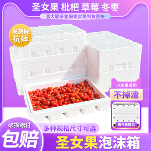 带孔圣女果泡沫箱快递专用水果小番茄千禧果包装箱周转托盘保温箱