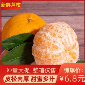 10斤新鲜永春芦柑当季现摘水果建瓯桔子椪柑沙糖橘蜜橘子丑桔5斤