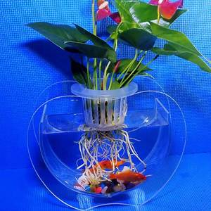异形玻璃鱼缸造型个性斗鱼缸水培花瓶客厅圆柱形悬浮桌面透明增氧