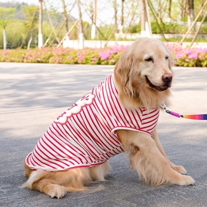 大狗狗衣服夏季薄款金毛萨摩耶拉布拉多夏天透气中型犬大型犬夏装