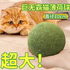 猫玩具舔舔乐超大薄荷球虫瘿果自嗨解闷磨牙逗猫棒耐咬幼猫咪用品