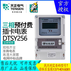 TENGEN天正电气 DTSY256插卡电表三相四线电子式预付费电能表380V