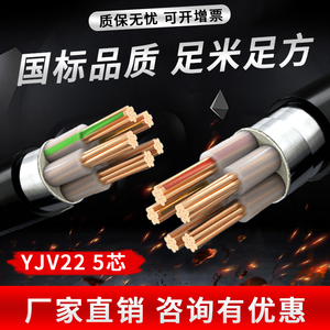 铜芯国标YJV22铠装5芯护套线10/16/35/50/70/95平方阻燃地埋电缆