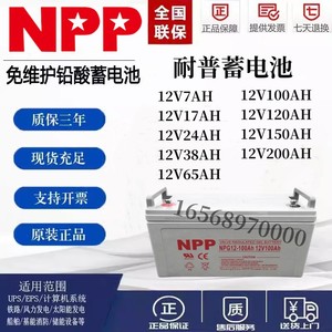 NPP耐普蓄电池NPG12-24AH33A38A40A55A65A75A80A100A120A150A200A