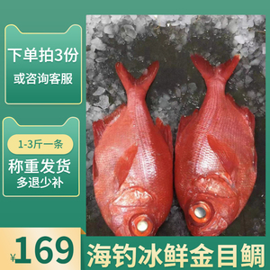 金目鲷 天然深海水产鲜活活杀放血日式寿司日料鲜鱼 刺身级别冰鲜