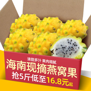 海南燕窝果新鲜麒麟果5斤甜糯黄色火龙果热带特产水果礼盒装包邮