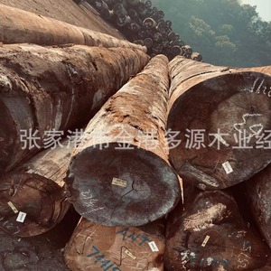 杜英QUA杂木 白杂木 红杂木原木 古建木 园林工程料 一手货源