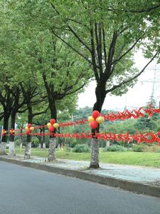 结婚农村路边装饰婚礼气球风车户外路引喜字拉条灯笼专用院子拉旗