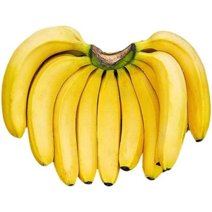 威廉斯香蕉山甜蕉当季新鲜水果软糯香甜芭蕉芝麻大香蕉
