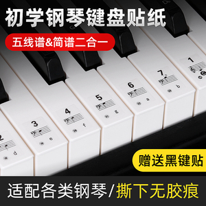 钢琴键盘贴 88/61键手卷钢琴电子琴数字 五线谱简谱音符音标贴纸