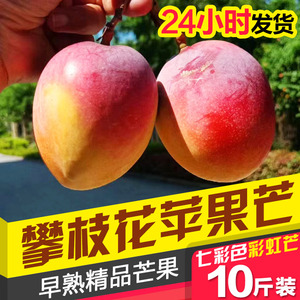 四川攀枝花芒果苹果芒吉禄爱文芒精品大果应季新鲜水果非凯特10斤