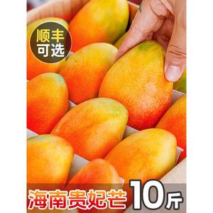海南贵妃芒芒果10斤新鲜水果当季整箱包邮礼盒金芒树上熟芒果