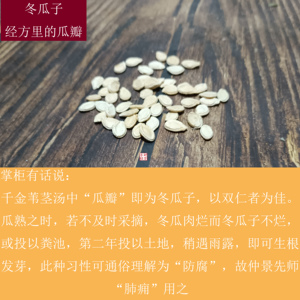 广东农家冬瓜子250g 生晒 千金苇茎汤里的瓜瓣