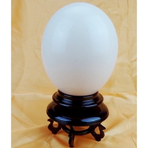 鸵鸟蛋专用木质底座鸵鸟蛋壳支架底托底坐架子鸵鸟蛋壳蛋雕工艺。