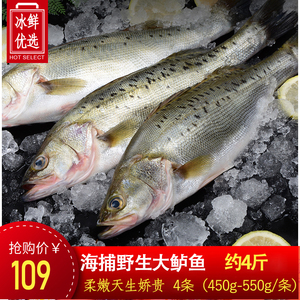 【4条装】海鲈鱼新鲜冷冻特大鲈鱼深海鲈鱼海鲜新鲜活冻鲈鱼生鲜