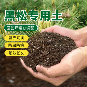 黑松土松树专用土五针松生桩熟桩盆栽土酸性土种植有机基础土壤