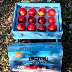 西藏林芝高原苹果海拔3000米以上晚熟冰糖心高原红丑苹果当季现摘