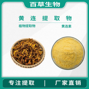 黄连提取物盐酸小檗碱 黄连素97%精华粉末浓缩粉黄连素粉末 正品