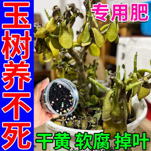 玉树专用肥料水培盆景盆栽叶发黄药掉叶烂根病花肥植物通用营养液