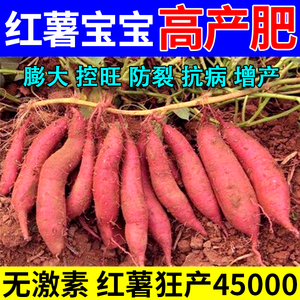 红薯宝宝叶面肥甘薯地瓜水溶肥地下根茎膨大素专用补钙增产控旺剂