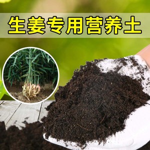 生姜专用土家用种菜种植土有机土壤阳台蔬菜盆栽肥料土生姜营养土