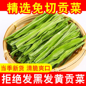 贡菜干货官方旗舰店商用批发四川苔菜火锅专用脱水蔬菜非一级特级