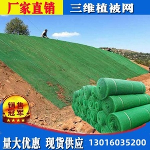 三维植被网护坡固土三维网园林绿化 土工塑料网椰丝毯垫西安厂家