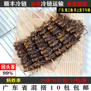 蚂蚱串20串烧烤油炸食材蝗虫串冷冻半成品商用大排档昆虫类高蛋白