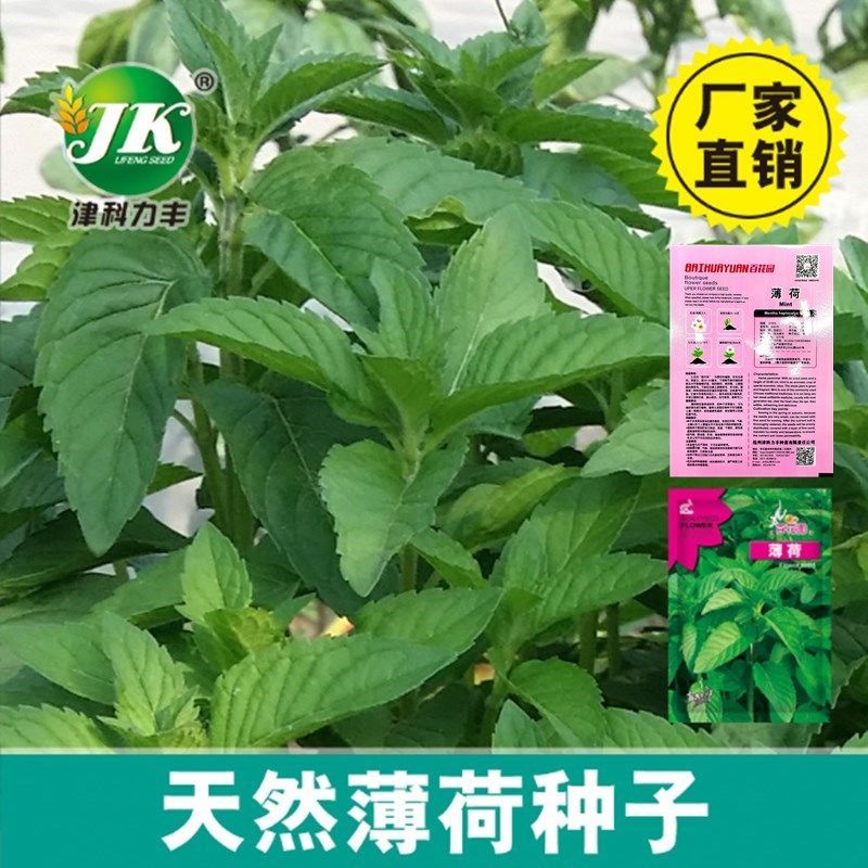 重庆市万州区人民政府