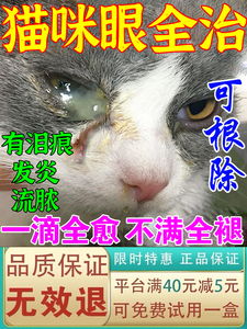 猫咪眼睛发炎流泪眼药水流脓消炎维生素去除泪痕清洁氯霉素滴眼液
