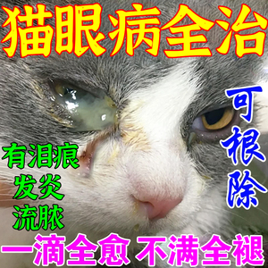 猫咪眼睛发炎流泪眼药水流脓消炎维生素去除泪痕清洁氯霉素滴眼液