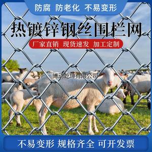 新疆西藏包邮热镀锌铁丝网围栏圈牛羊防护养殖钢丝勾花网养鸡狗果