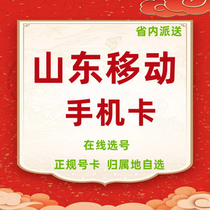 山东济南青岛东营烟台潍坊济宁德州聊城滨州菏泽移动手机卡流量卡