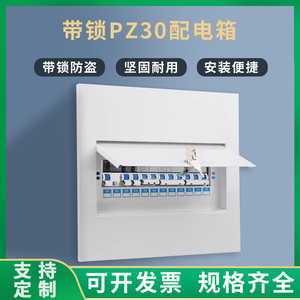 PZ30配电箱带锁盖板家用空气开关漏保电闸保护盖8/10/12暗装通用