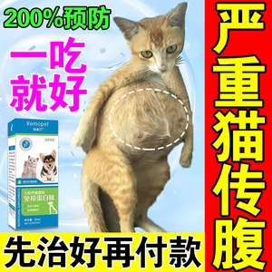 猫传腹口服药猫腹水猫咪大肚子胀腹膜炎发烧无力抑制消腹水营养液