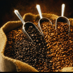 太阳河 海南均衡意式古村精品兴隆咖啡豆 新鲜烘焙可现磨粉 398g