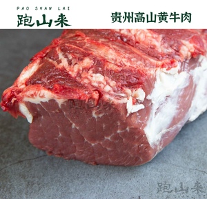 跑山来贵州黄牛肉里脊腰柳500g 现杀鲜切菲力牛排嫩牛肉烧烤牛肉