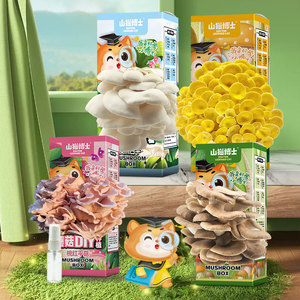 山猫博士平菇蘑菇种植包菌包2盒装可食用儿童diy菌棒菌种子盆栽